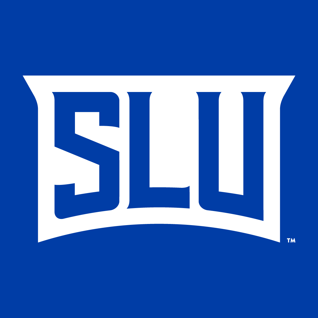 Saint Louis Billikens 2015-Pres Wordmark Logo v2 diy iron on heat transfer